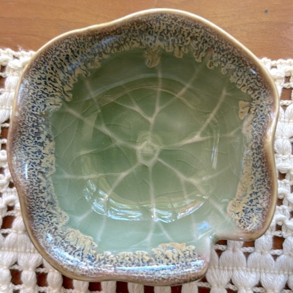 NEW Windowsill SUCCULENT 4" Anthropologie - Picture 12 of 13